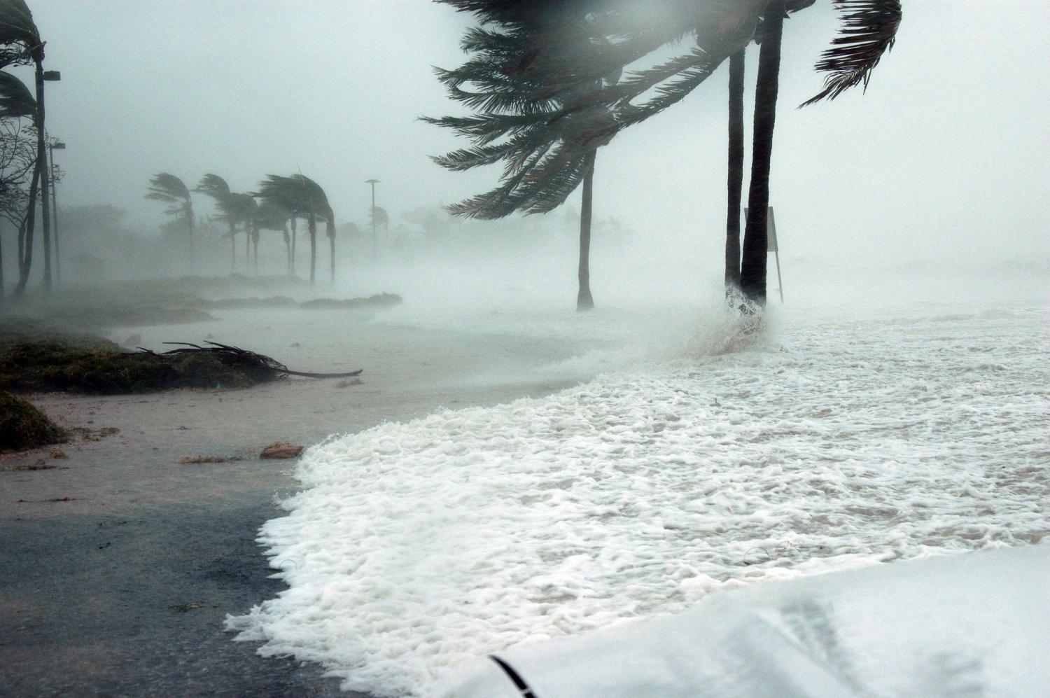 Natural Disasters